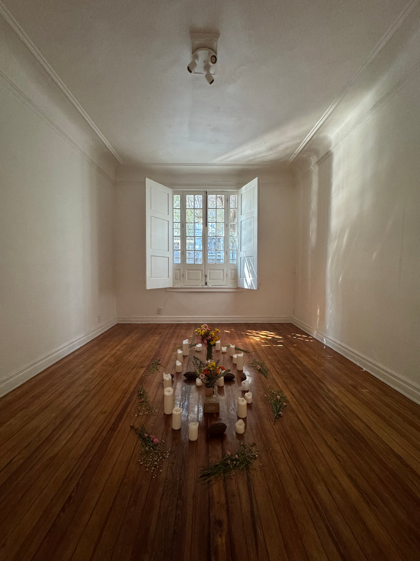 SIT WITH ME IN WONDERLAND 2026 I ABRIL